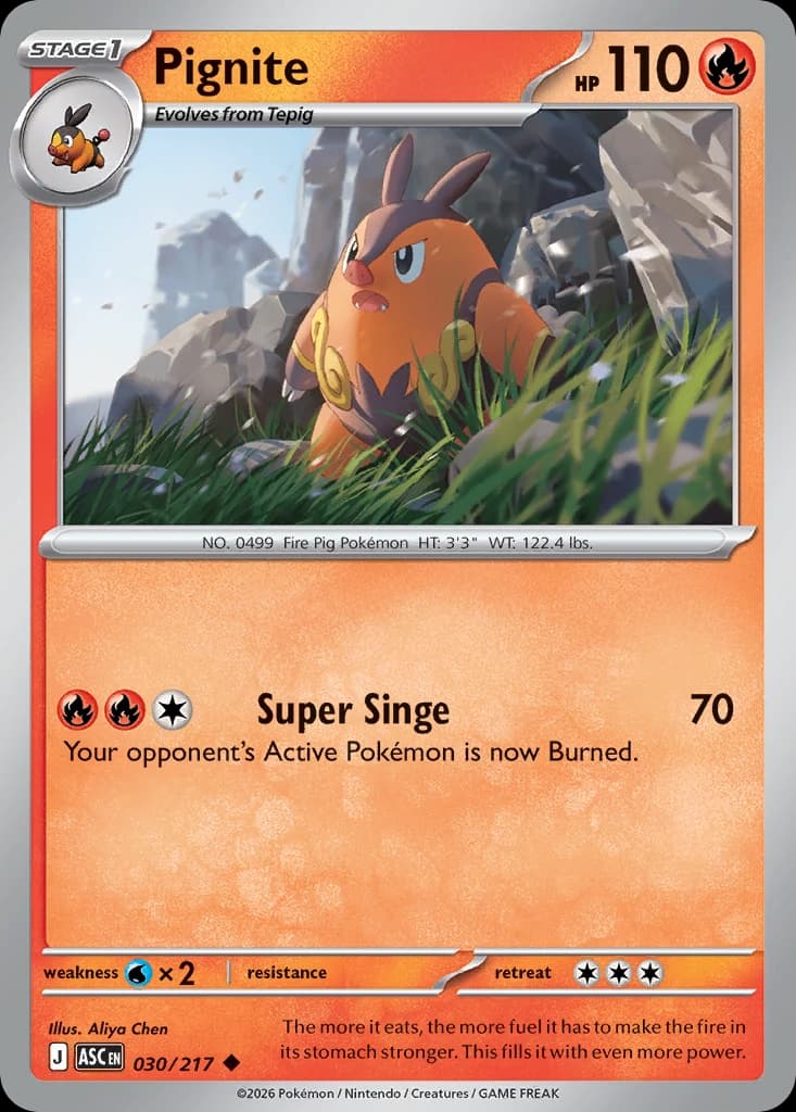 Pignite - Ascended Heroes - 030/217 - card