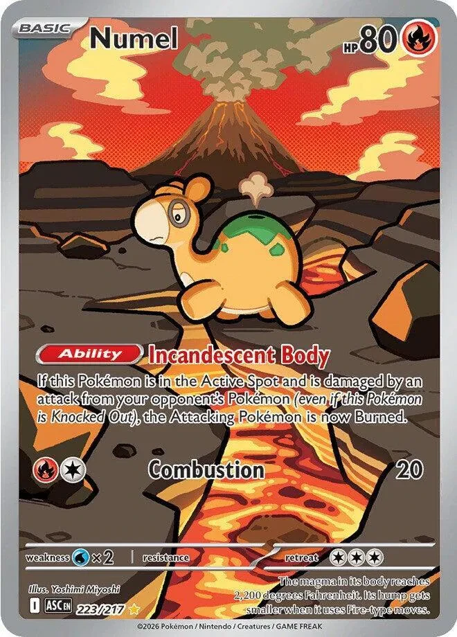 Numel - Ascended Heroes - 223/217 - Holofoil - card